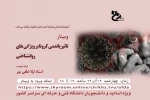 برگزاری وبینار با عنوان تاثیر پاندومی کرونا بر ویژگیهای روانشناختی  2